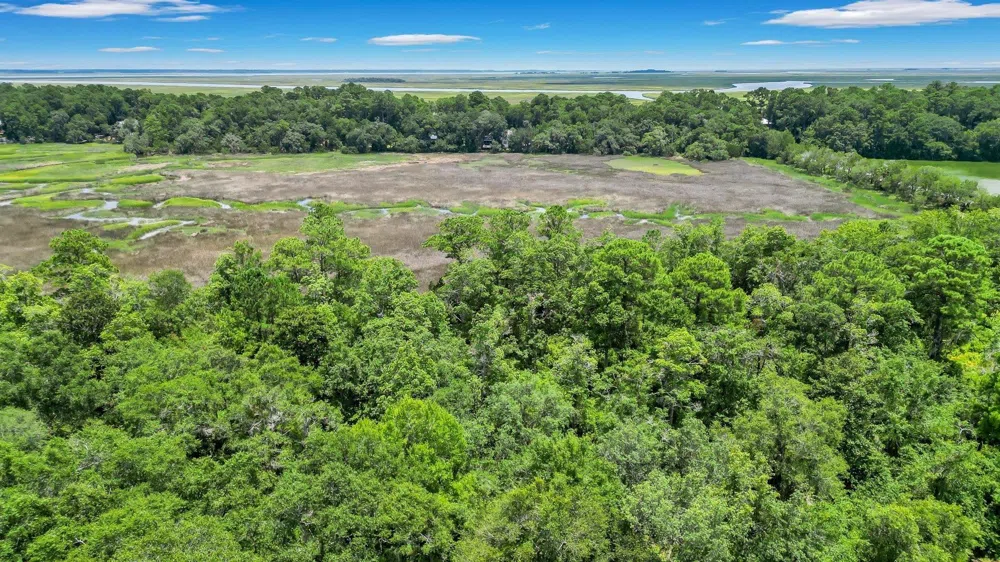 LOT 59 St Joseph's PT Darien, GA 31305