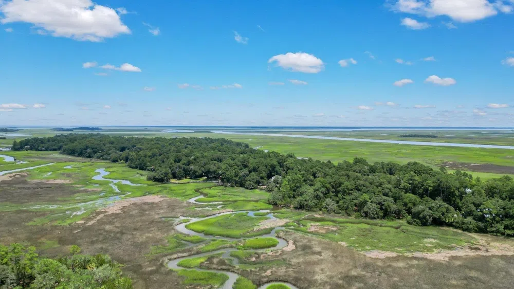 LOT 59 St Joseph's PT Darien, GA 31305