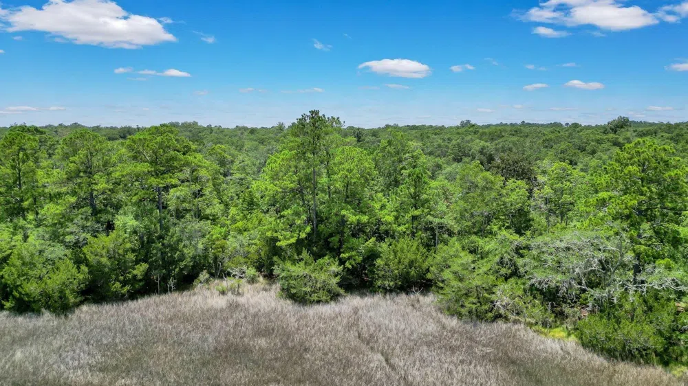 LOT 59 St Joseph's PT Darien, GA 31305
