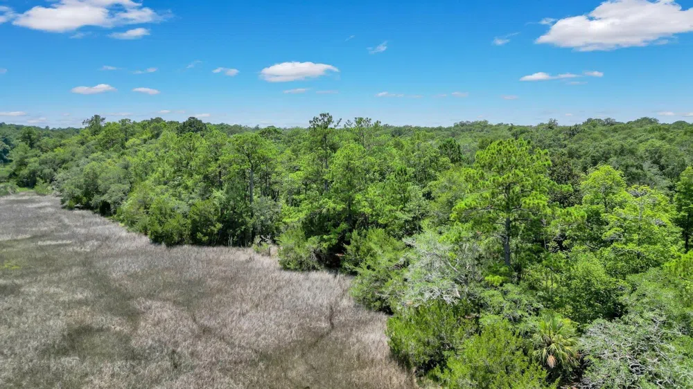 LOT 59 St Joseph's PT Darien, GA 31305