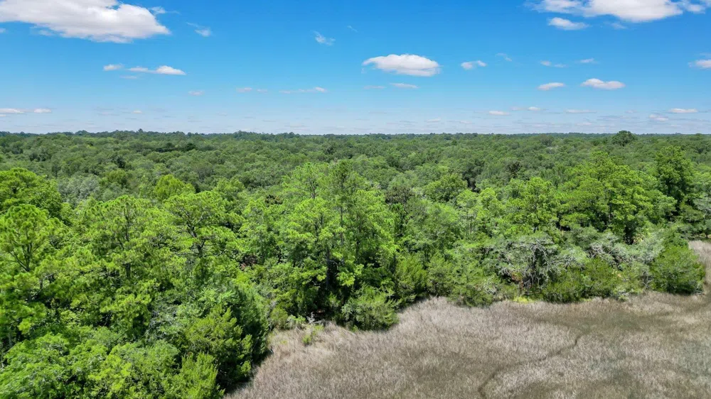 LOT 59 St Joseph's PT Darien, GA 31305