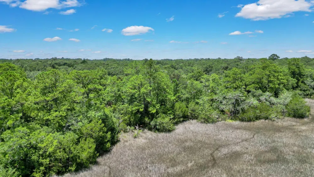 LOT 59 St Joseph's PT Darien, GA 31305