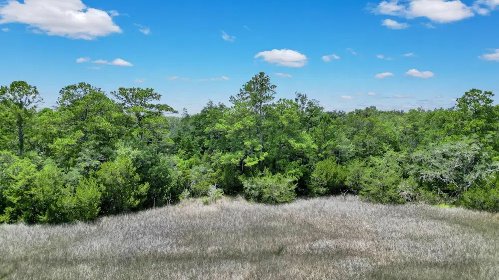 LOT 59 St Joseph's PT Darien, GA 31305