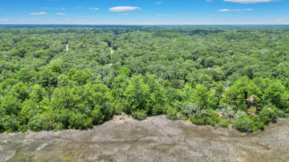 LOT 59 St Joseph's PT Darien, GA 31305