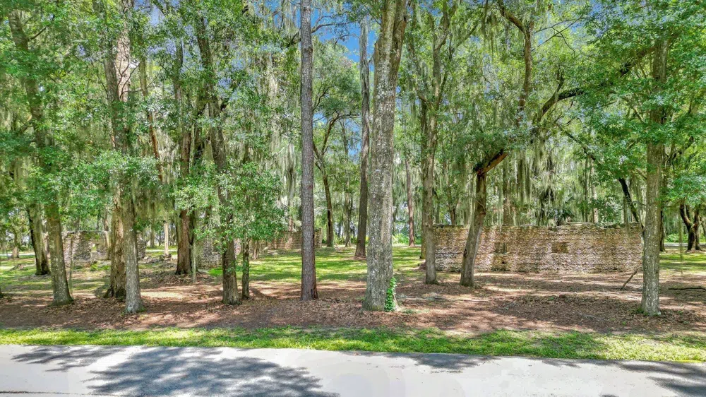 LOT 59 St Joseph's PT Darien, GA 31305