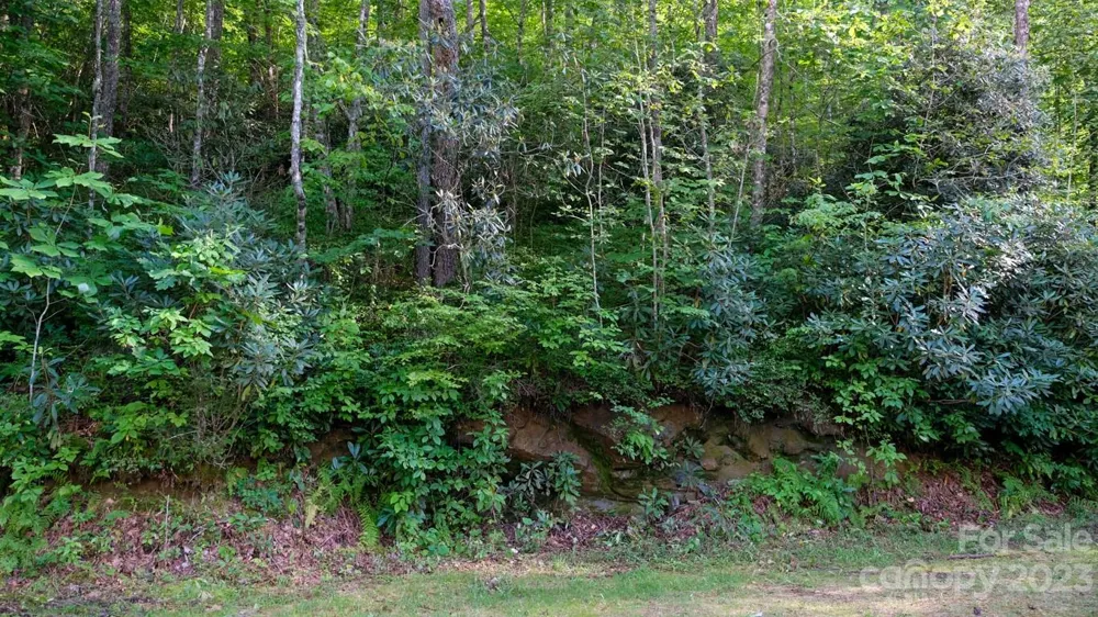 427 Quarry Road #22 Lake Toxaway, NC 28747