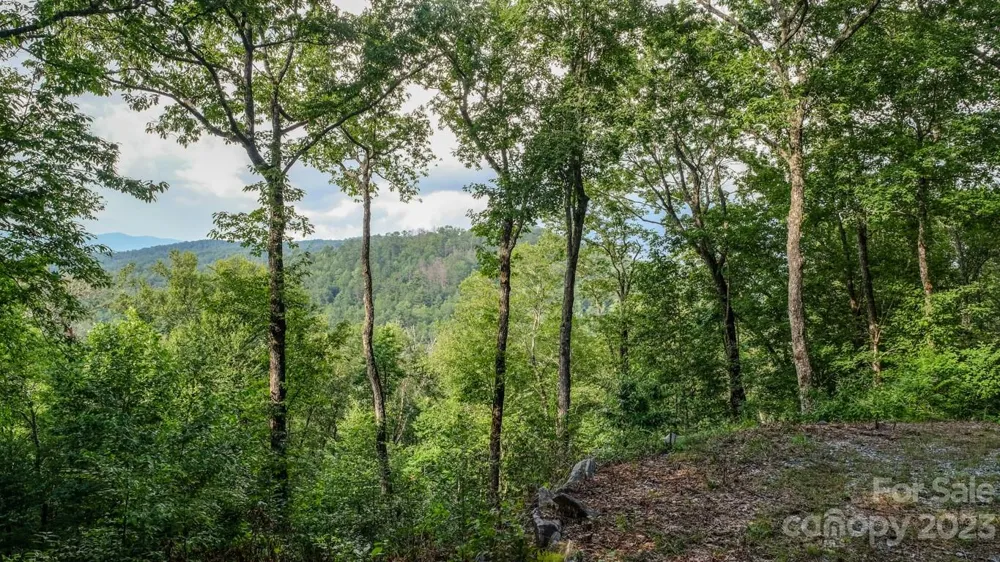 427 Quarry Road #22 Lake Toxaway, NC 28747