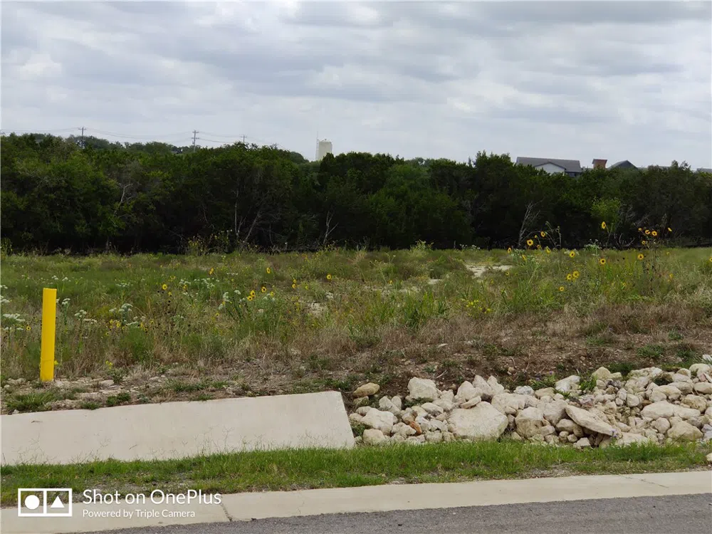 410 Whisenant Lane Dripping Springs, TX 78620