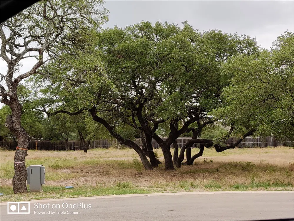 410 Whisenant Lane Dripping Springs, TX 78620