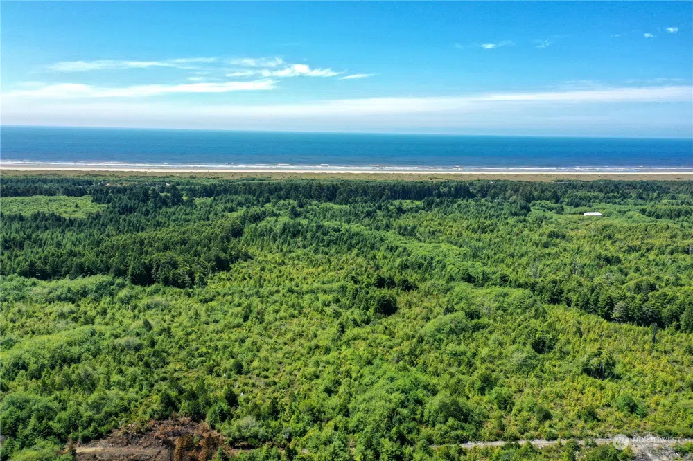 2850 State Route 109 Copalis Beach, WA 98569