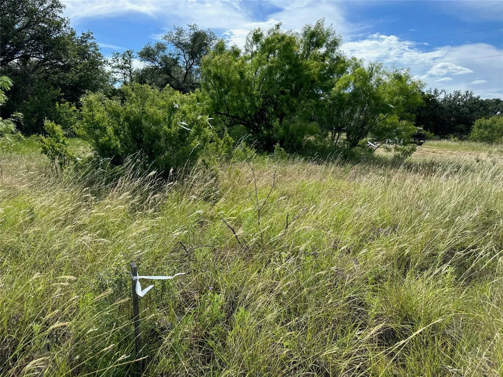 863 Pitchpole Circle Brownwood, TX 76801