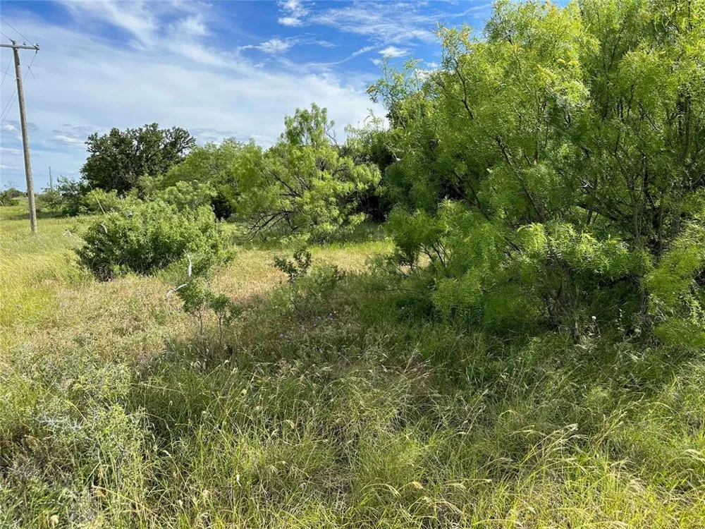 863 Pitchpole Circle Brownwood, TX 76801