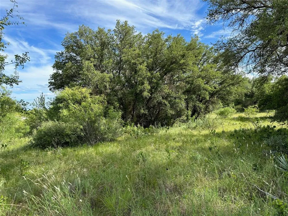 863 Pitchpole Circle Brownwood, TX 76801