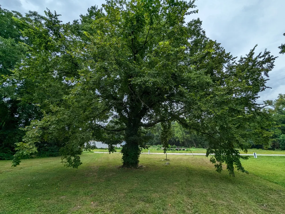 212 Boswell St Mount Pleasant, TN 38474