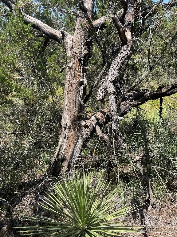 E Castlelakes Drive Granite Shoals, TX 78654