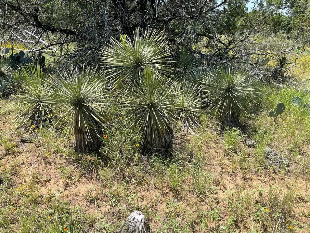 E Castlelakes Drive Granite Shoals, TX 78654