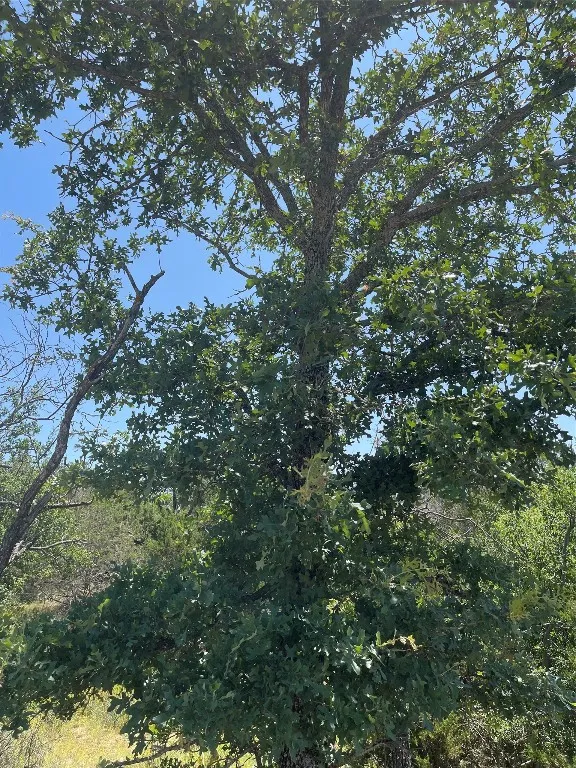 E Castlelakes Drive Granite Shoals, TX 78654