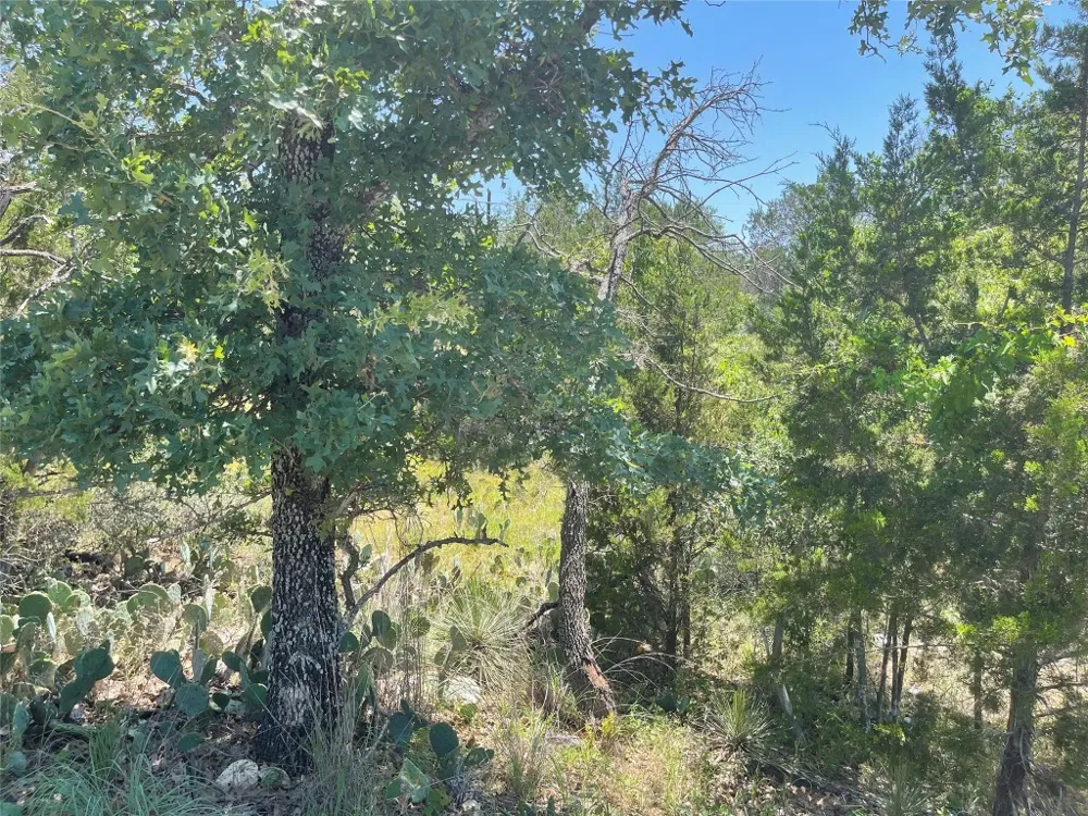 E Castlelakes Drive Granite Shoals, TX 78654