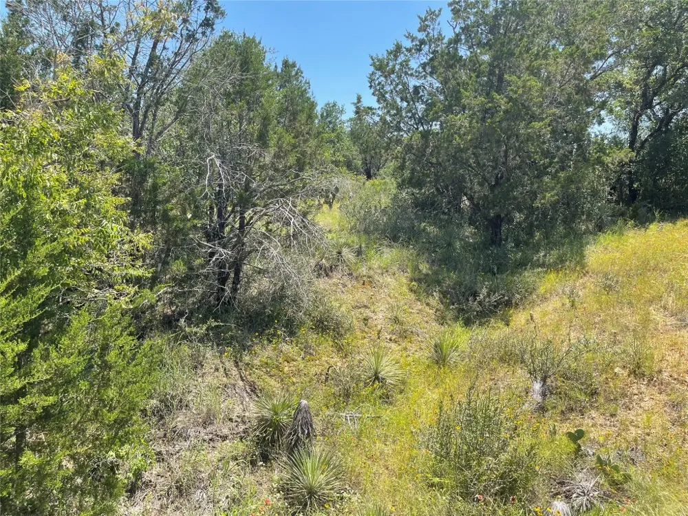E Castlelakes Drive Granite Shoals, TX 78654