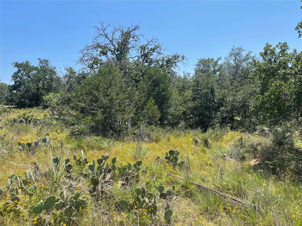 E Castlelakes Drive Granite Shoals, TX 78654