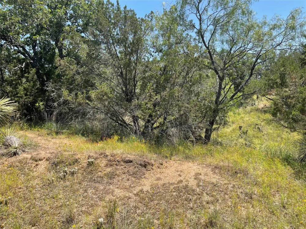 E Castlelakes Drive Granite Shoals, TX 78654