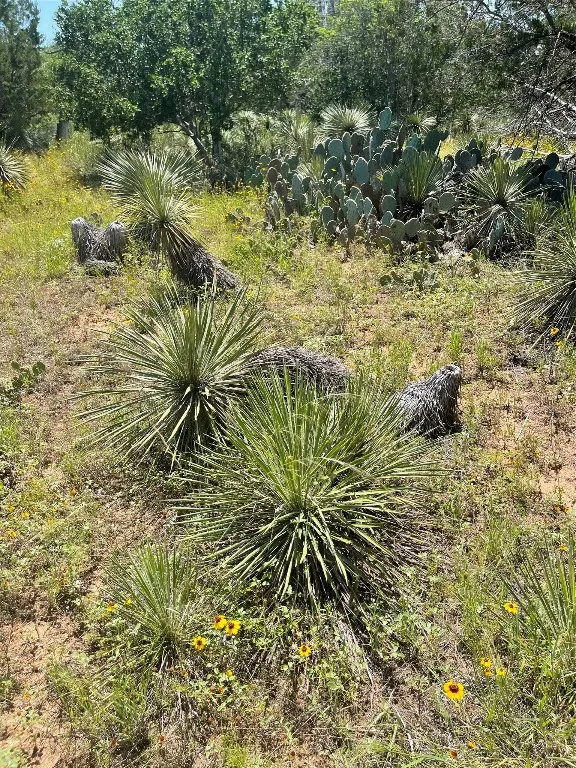 E Castlelakes Drive Granite Shoals, TX 78654