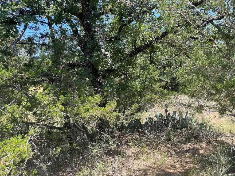 E Castlelakes Drive Granite Shoals, TX 78654