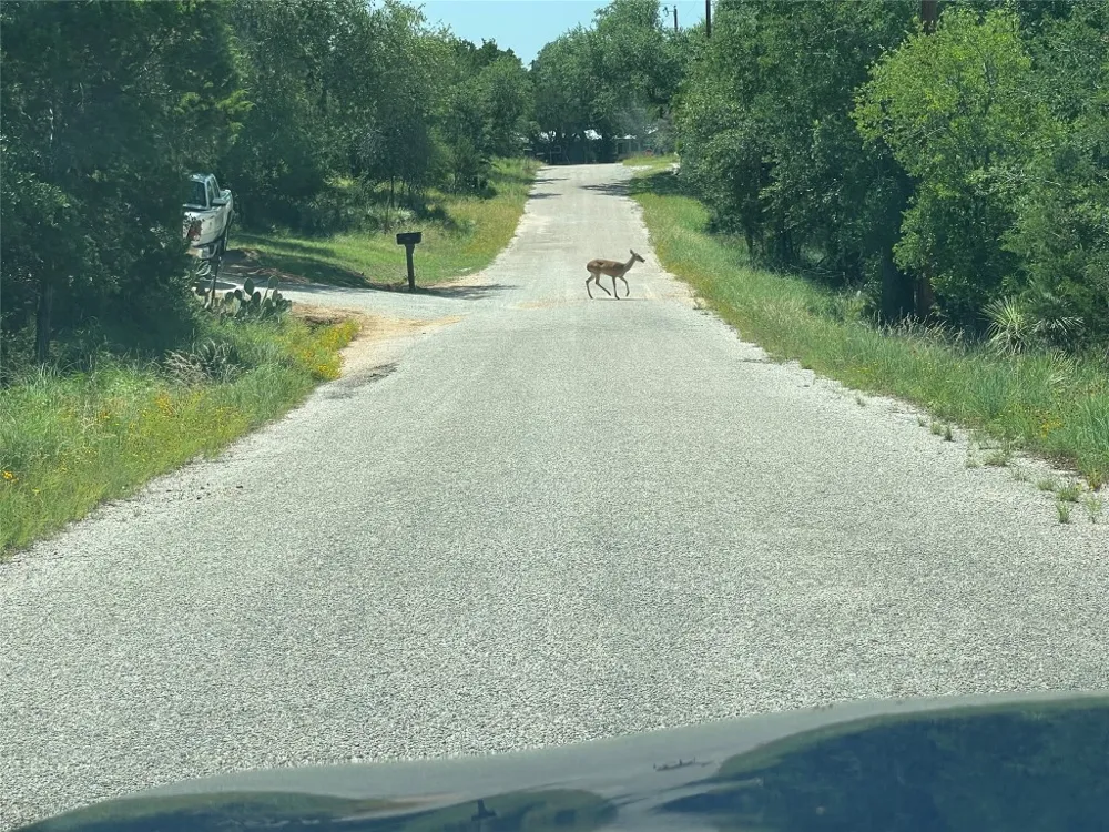 E Castlelakes Drive Granite Shoals, TX 78654