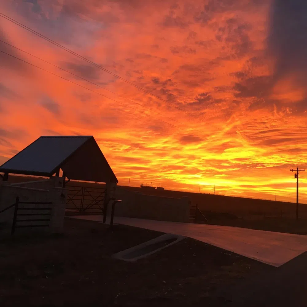 1635 County Road 135 Hale Center, TX 79041