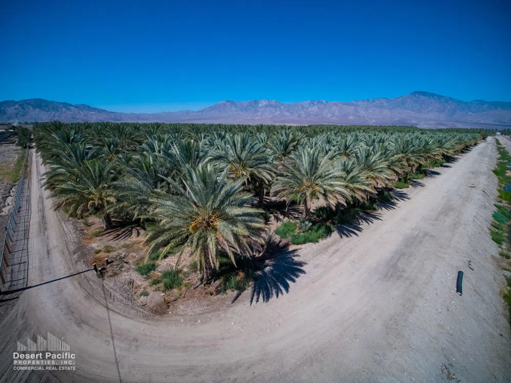 Sec Lincoln St & 81st Ave Oasis, CA 92274
