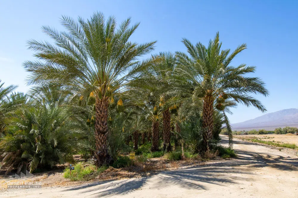 75317 Polk St Oasis, CA 92274
