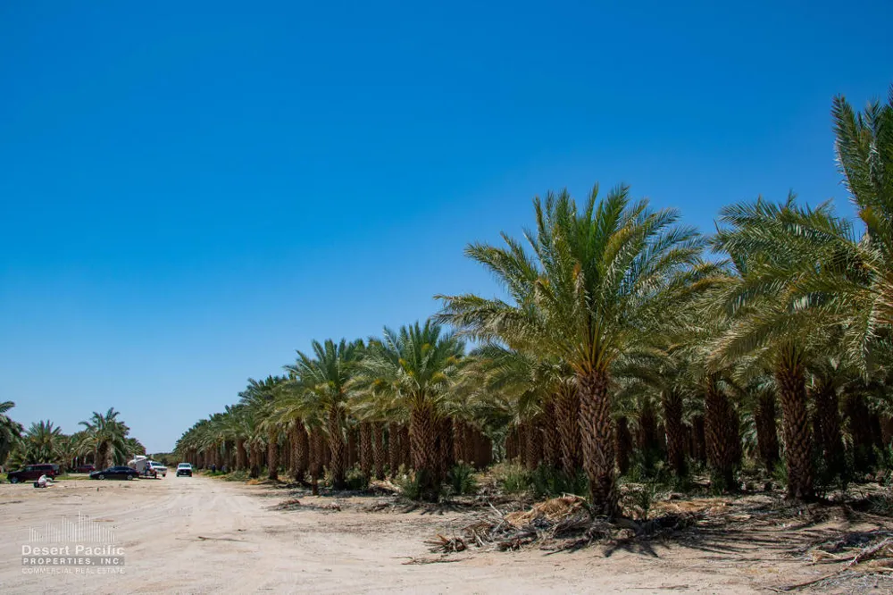 1095 Midland Rd Blythe, CA 92225