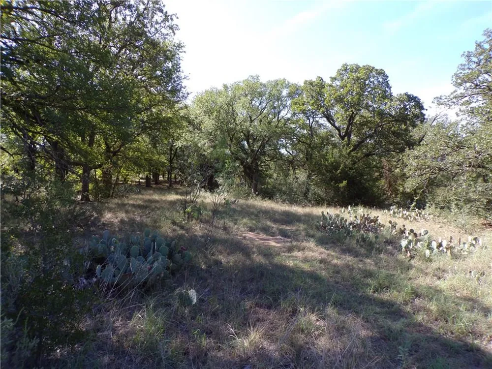 9999 FM 2492 Brownwood, TX 76801