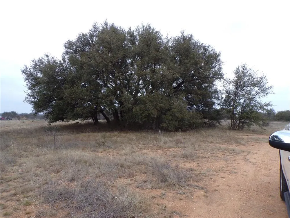 9999 FM 2492 Brownwood, TX 76801
