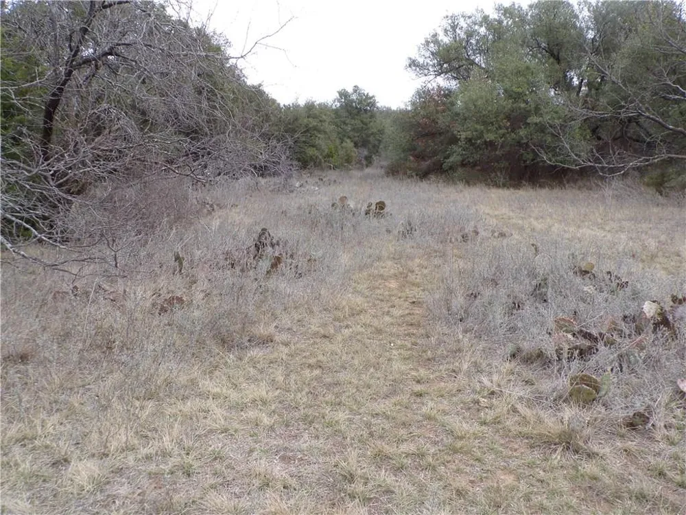 9999 FM 2492 Brownwood, TX 76801