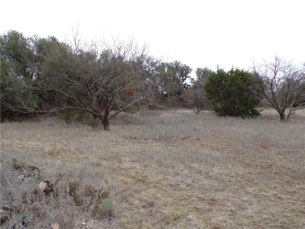 9999 FM 2492 Brownwood, TX 76801