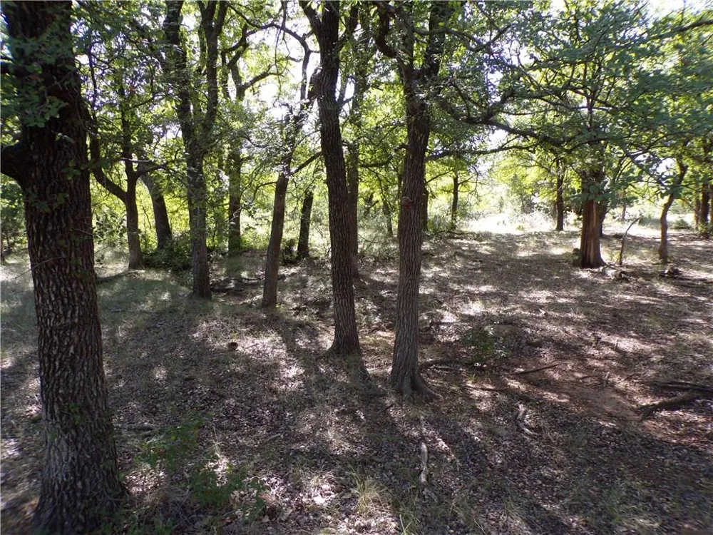 9999 FM 2492 Brownwood, TX 76801
