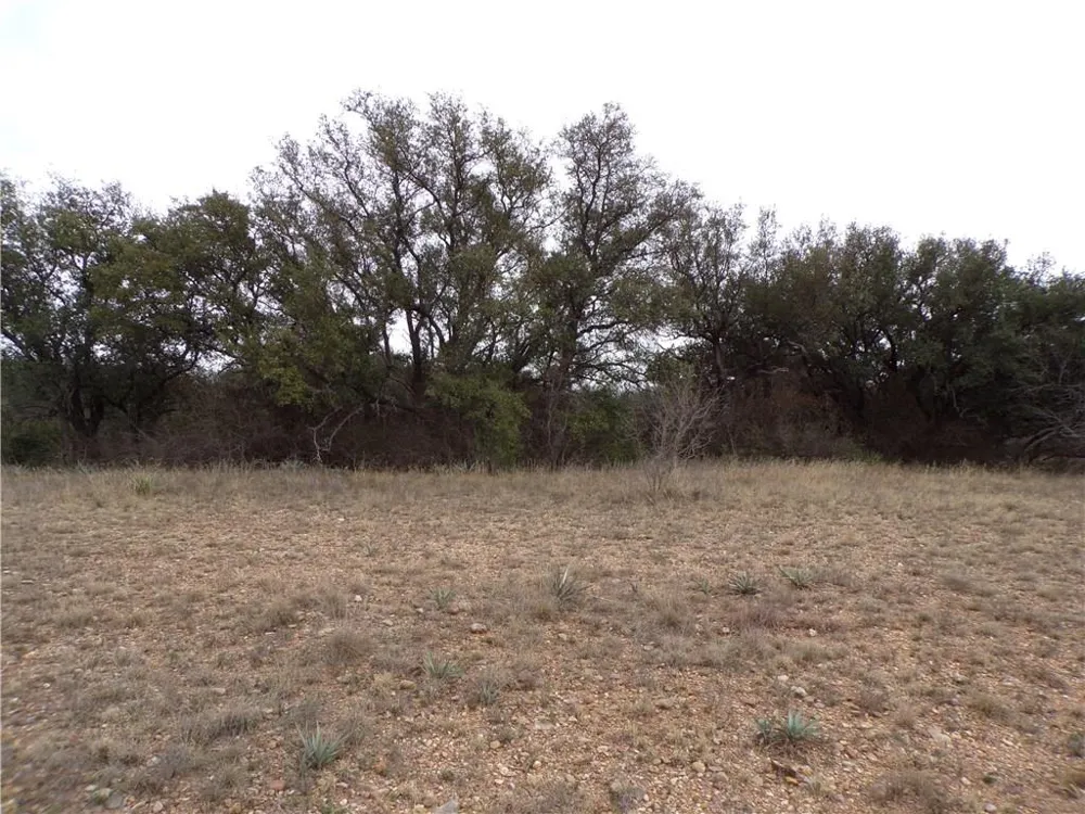 9999 FM 2492 Brownwood, TX 76801