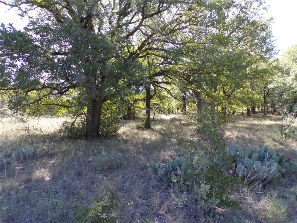 9999 FM 2492 Brownwood, TX 76801