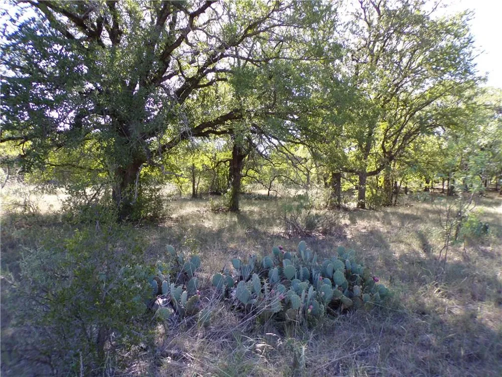 9999 FM 2492 Brownwood, TX 76801