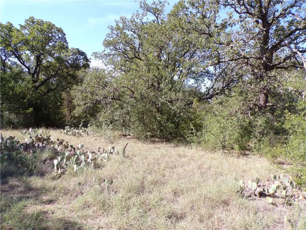 9999 FM 2492 Brownwood, TX 76801