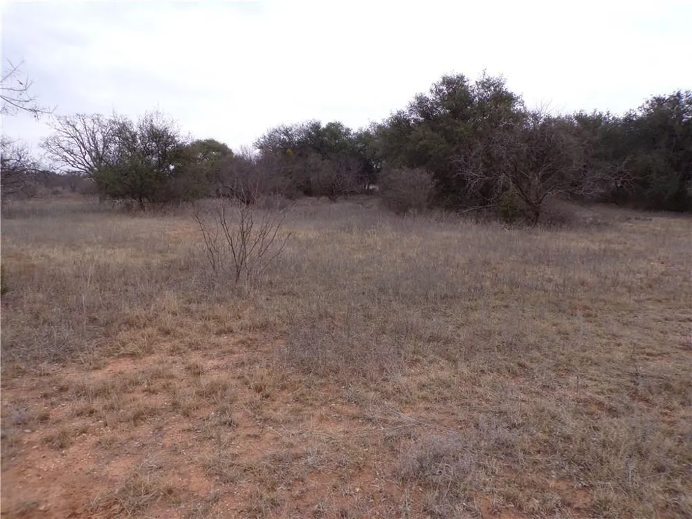 9999 FM 2492 Brownwood, TX 76801