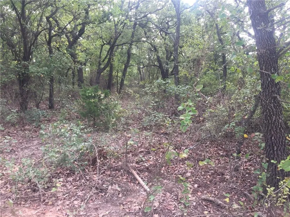 Starr Mann St Jo, TX 76265