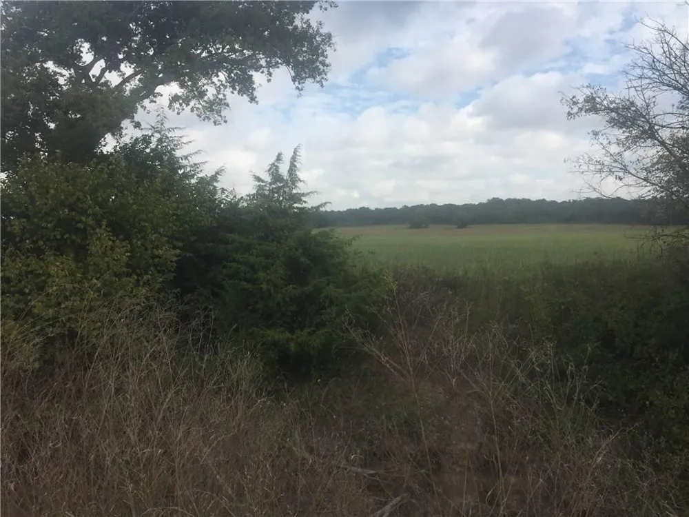 Starr Mann St Jo, TX 76265