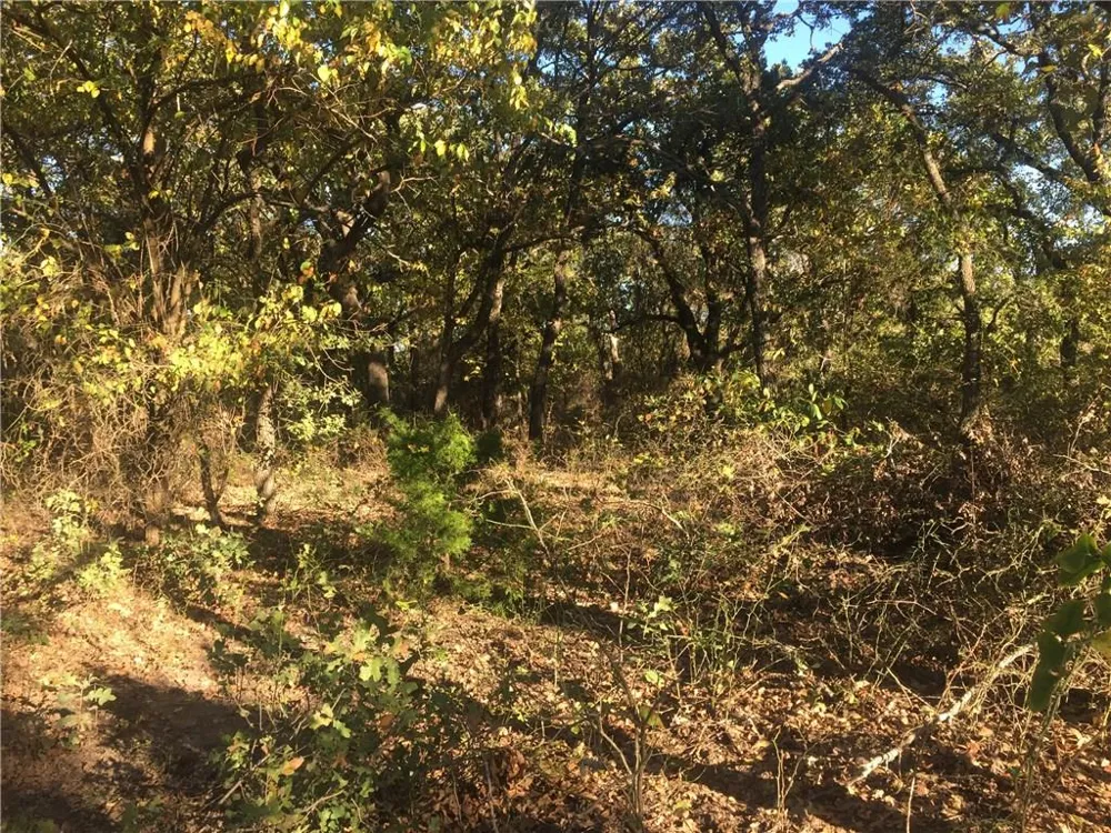 Starr Mann St Jo, TX 76265