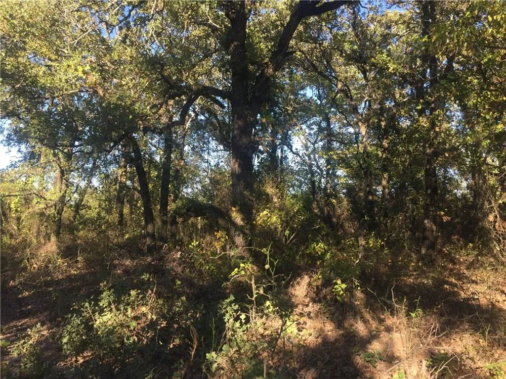 Starr Mann St Jo, TX 76265