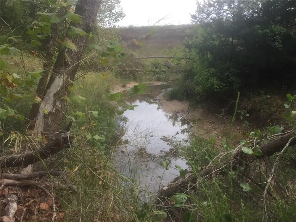 Starr Mann St Jo, TX 76265