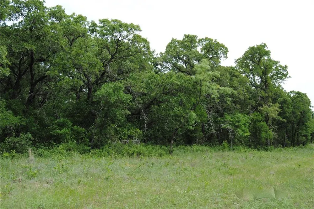 9 FM 2123 Paradise, TX 76073