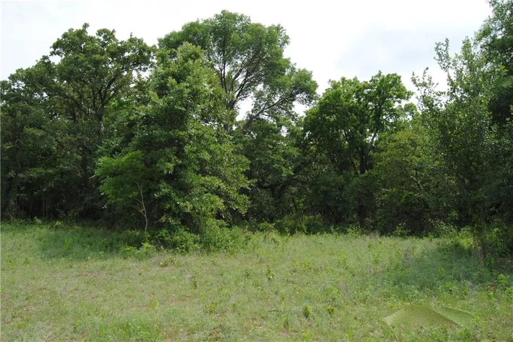 9 FM 2123 Paradise, TX 76073