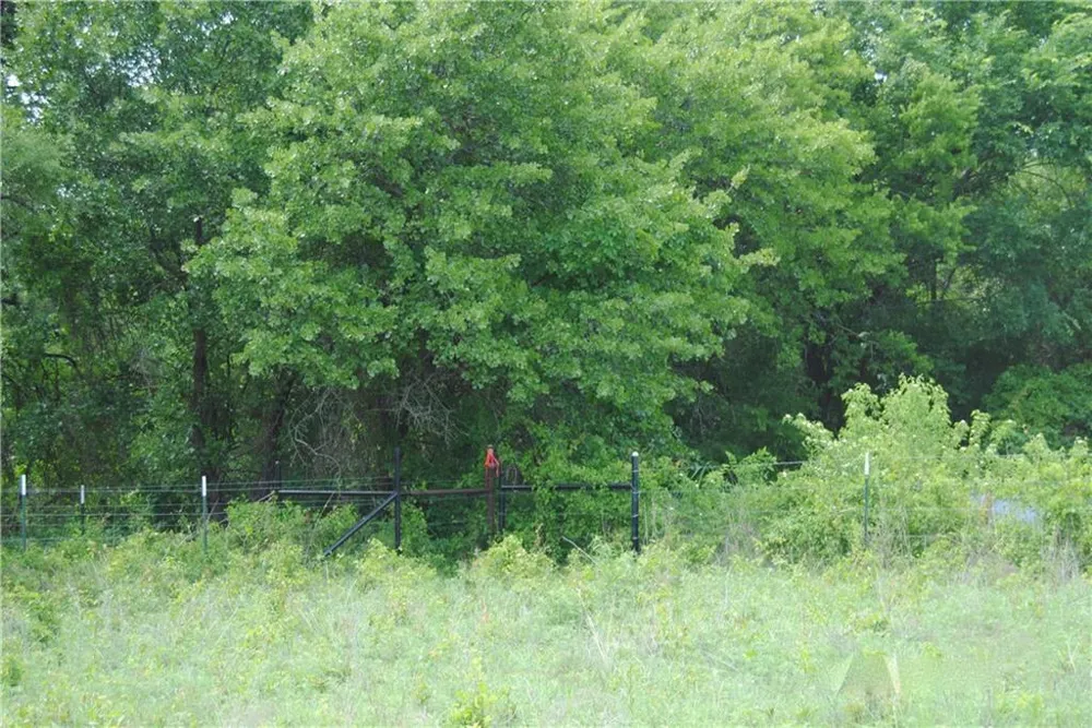 9 FM 2123 Paradise, TX 76073